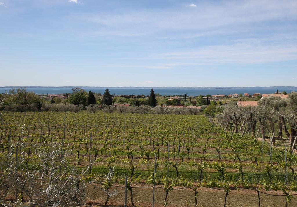 Appartamenti Bellavista Bardolino Bagian luar foto